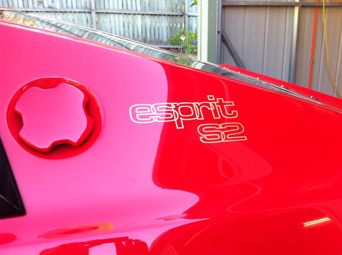 Lotus Esprit Touch Up Paint Lotus Esprit Touch Up Paint