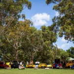 Lotus Club Christmas Picnic