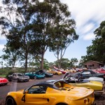 Lotus Club Christmas Picnic