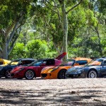 Lotus Club Christmas Picnic