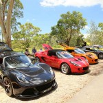 Lotus Club Christmas Picnic