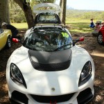 Lotus Club Christmas Picnic