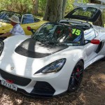 Lotus Club Christmas Picnic