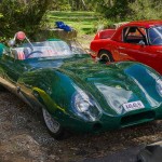 Lotus Club Christmas Picnic