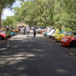 Lotus Club Christmas Picnic