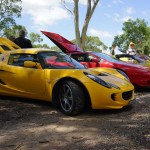 Lotus Club Christmas Picnic