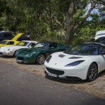 Lotus Club Christmas Picnic