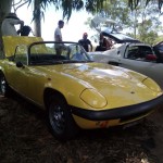 Lotus Club Christmas Picnic