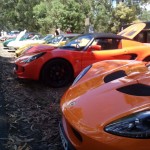 Lotus Club Christmas Picnic