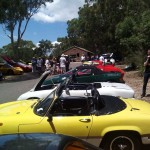 Lotus Club Christmas Picnic