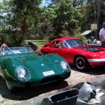 Lotus Club Christmas Picnic