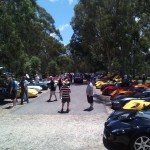 Lotus Club Christmas Picnic