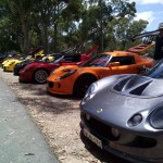 Lotus Club Christmas Picnic