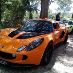 Lotus Club Christmas Picnic