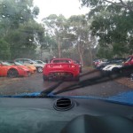 Lotus Club Christmas Picnic