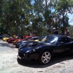 Lotus Club Christmas Picnic