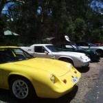 Lotus Club Christmas Picnic