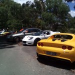 Lotus Club Christmas Picnic