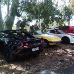 Lotus Club Christmas Picnic