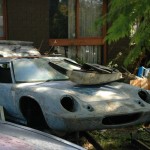 Lotus Estate Sale