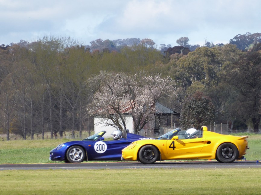 Cootamundra Sprints by Robyn Mackay