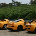 Club Lotus South Australia Christmas Lunch