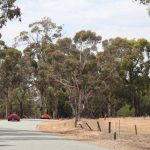 Western Australia November 2016 Lotus Run