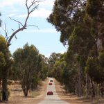 Western Australia November 2016 Lotus Run