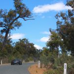 Western Australia November 2016 Lotus Run