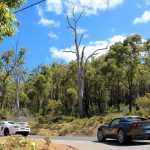 Western Australia November 2016 Lotus Run