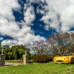 2017 CLA NSW Christmas Lunch