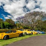 2017 CLA NSW Christmas Lunch