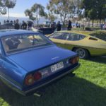 Lotus at Sandy Bay September 2021