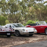 2021 Club Lotus Australia AGM & Christmas Picnic