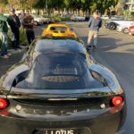 Lotus at Sandy Bay, July 2022