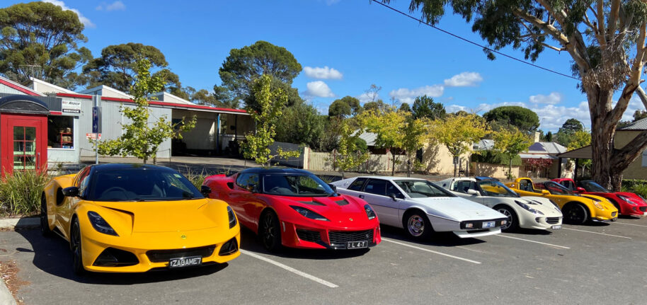 The Array of Lotus Brightened Up Strathalbyn High Street